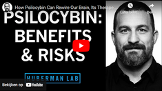 Youtube video: Psilocybin: Benefits & Risks van Huberman Lab Podcast